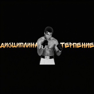 Дисциплина и Терпение 🏆
