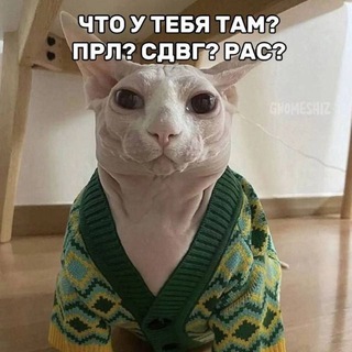 прл в схемах и мемах🤍🖤