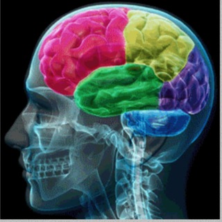 Хочу всё знать!