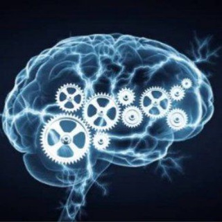 Мозг💡Принятие решений