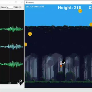 Brainstart & Центр биоэлектрических интерфейсов, НИУ ВШЭ