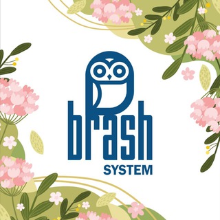 BRASH SYSTEM 🦉
