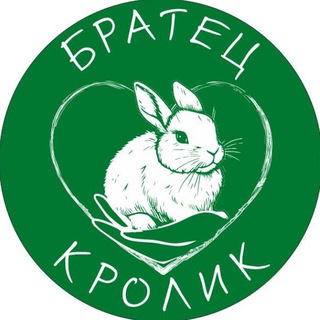 Братец Кролик 🐰 Уютное пространство с кроликами