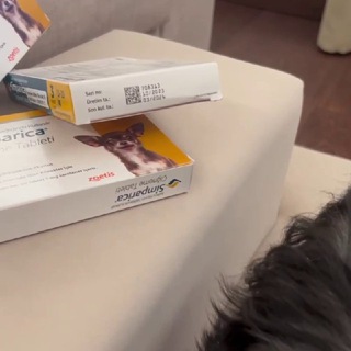 Бравекто / Симпарика /Апоквел из Турции