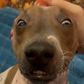 Хранилище бреда