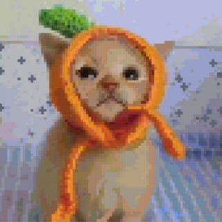 место для творений