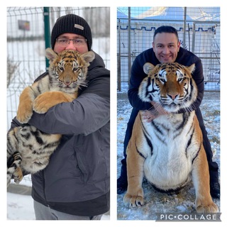 цирке 🎪🇷🇺Carlos Bresciani 🦁🐯