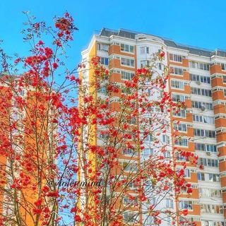 Брёхово 🏠 г.о Химки Юрлово Митино дальнее