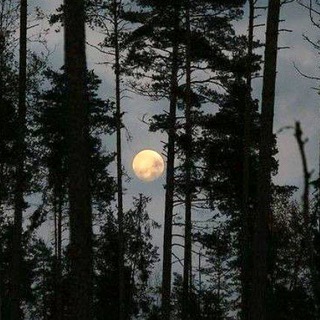 Вокзал Бриджа