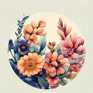 Коллекция Открыток