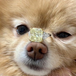 Бриллианты в Трусах