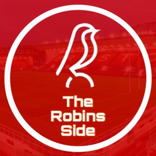 Бристоль Сити | The Robins Side