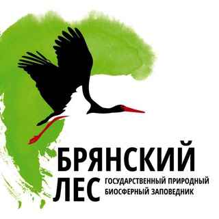 Заповедник "Брянский лес"