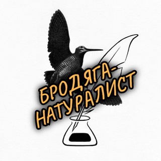 Бродяга-натуралист