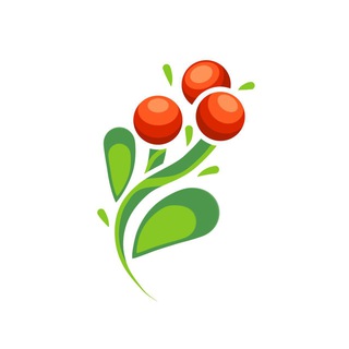 Brusnika|China🇨🇳