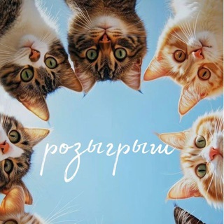 «BS Orchids» розыгрыши