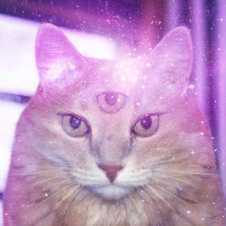 То, из чего сделаны мемы