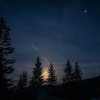 Дом поляшки💋