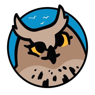 Ушами филина. Птицы и природа СПб и ЛО