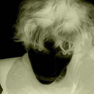 🐶пёс да лис🦊