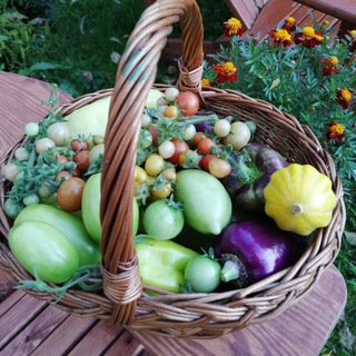 Будни ботановода