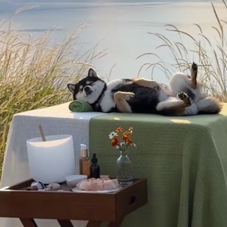 KSANDR CRYPTOK | 🫆TON