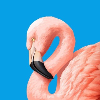 Христианская дача у моря «Фламинго»