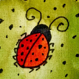 жуки и пауки