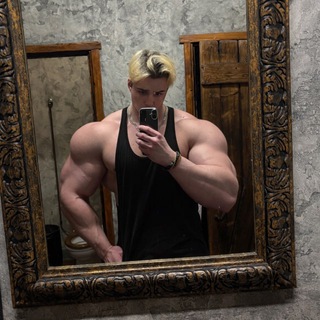 Нэйт экобс монарх