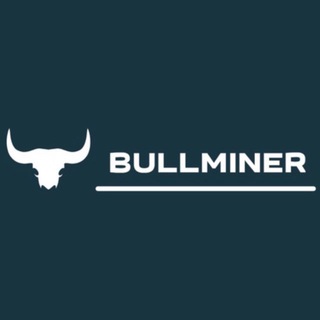 BullMiner