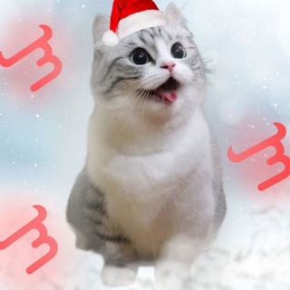 💎ПРОМОКОДЫ ПО BULLDROP