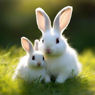 Растем и развиваемся