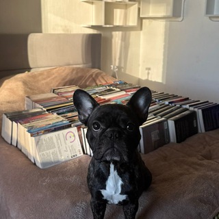 Бупси об book