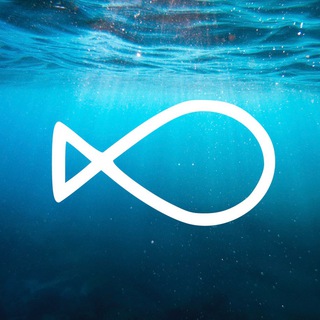 Рыбная биржа России