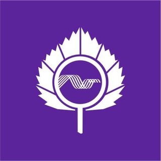 Канал Бизнес-клуб Кольцово