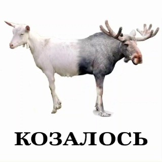 Бизнес по русски🏴‍☠