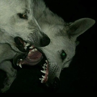 соулкор бай