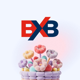 BXB — зарубежная доставка и коммерция