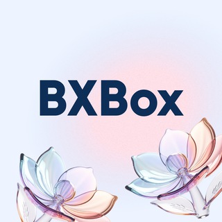 BXBox — доставка из США/Китая/ЕС/Индии, помощь с покупкой, выкуп из-за рубежа