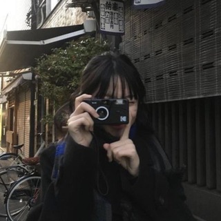 木漏れ日 — komorebi