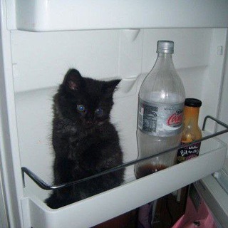 by kseewm | парные авы