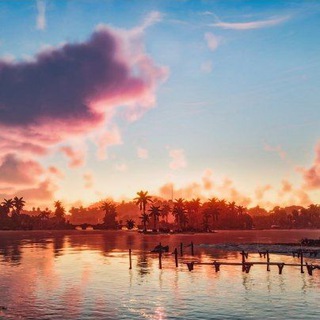 Будни паука 🕷️