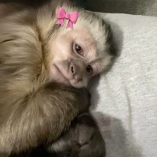 НА БАНКЕ ПИШЕТСЯ ТУШЁНКА!!!!!!!!!!!!!