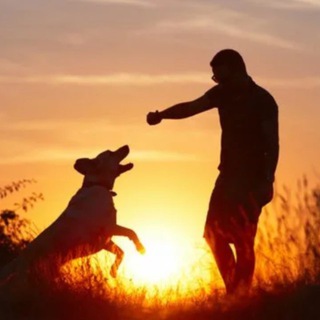 Пенаты дружок Липецк