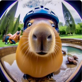 Тары-бары КАПИБАРЫ