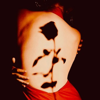 Цветок кактуса