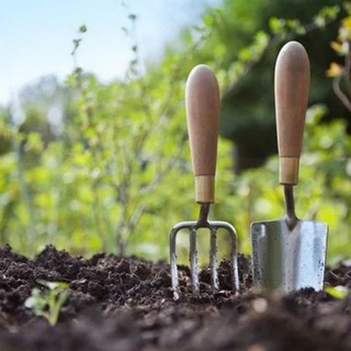 Садовая симфония 💐