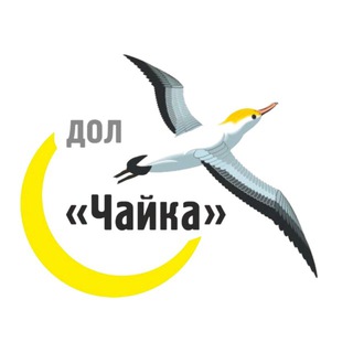 ДОЛ «Чайка»