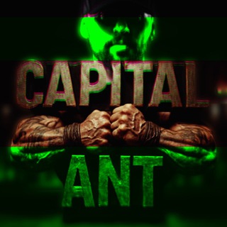 CAPITAL ANT 🐜