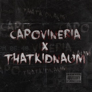 CAPOVINERIA X THATKIDNAUM /BEATSTORE